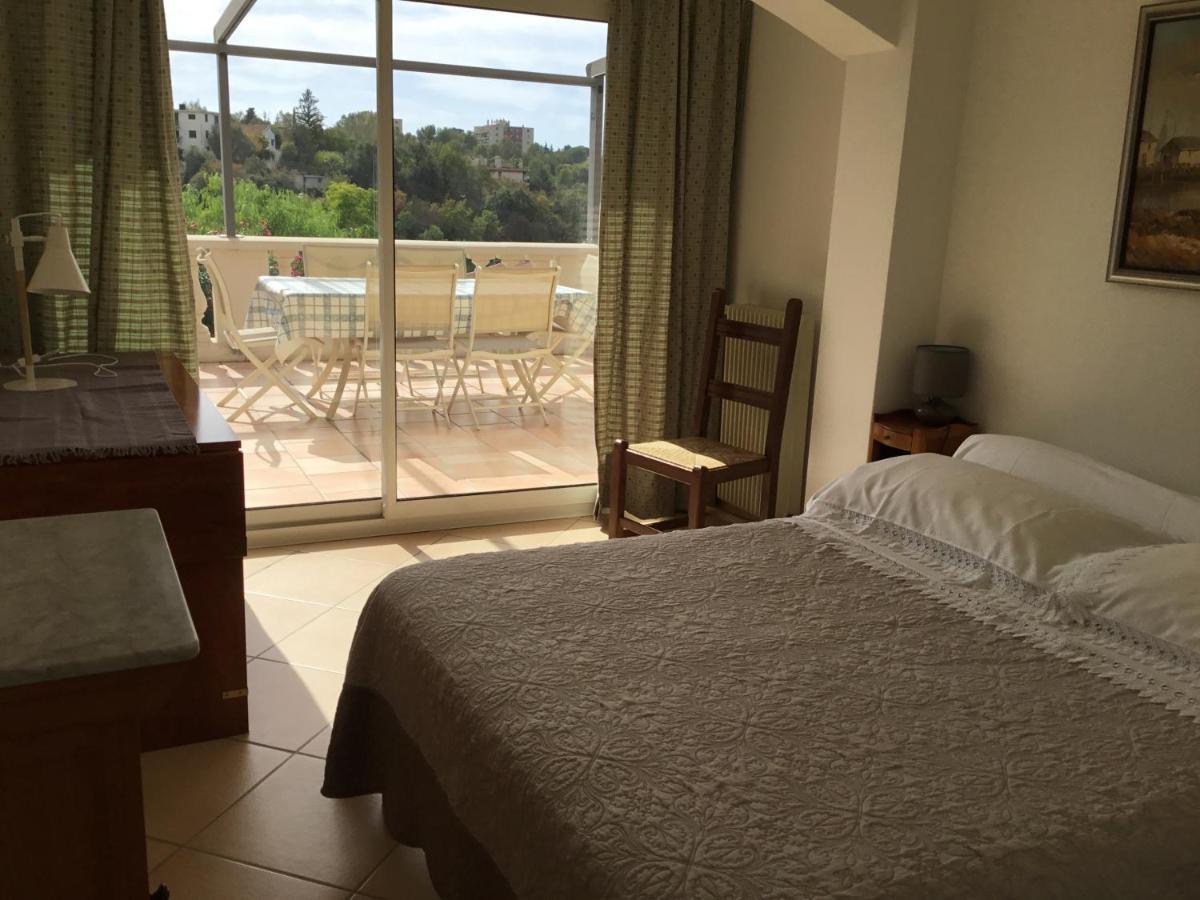 Villa Paradiso, Logement Avec Piscine, Nice Nord Екстериор снимка