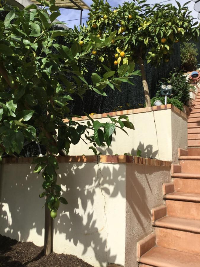 Villa Paradiso, Logement Avec Piscine, Nice Nord Екстериор снимка